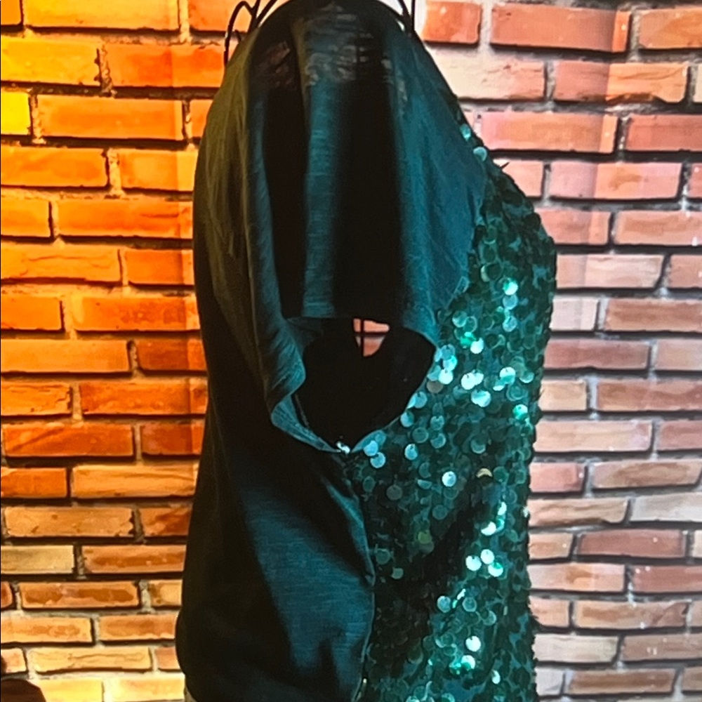 👚 (Ann Taylor) Loft Large Sequin T-Shirt Blouse - Emerald Green - Sz Large - Picture 4 of 6